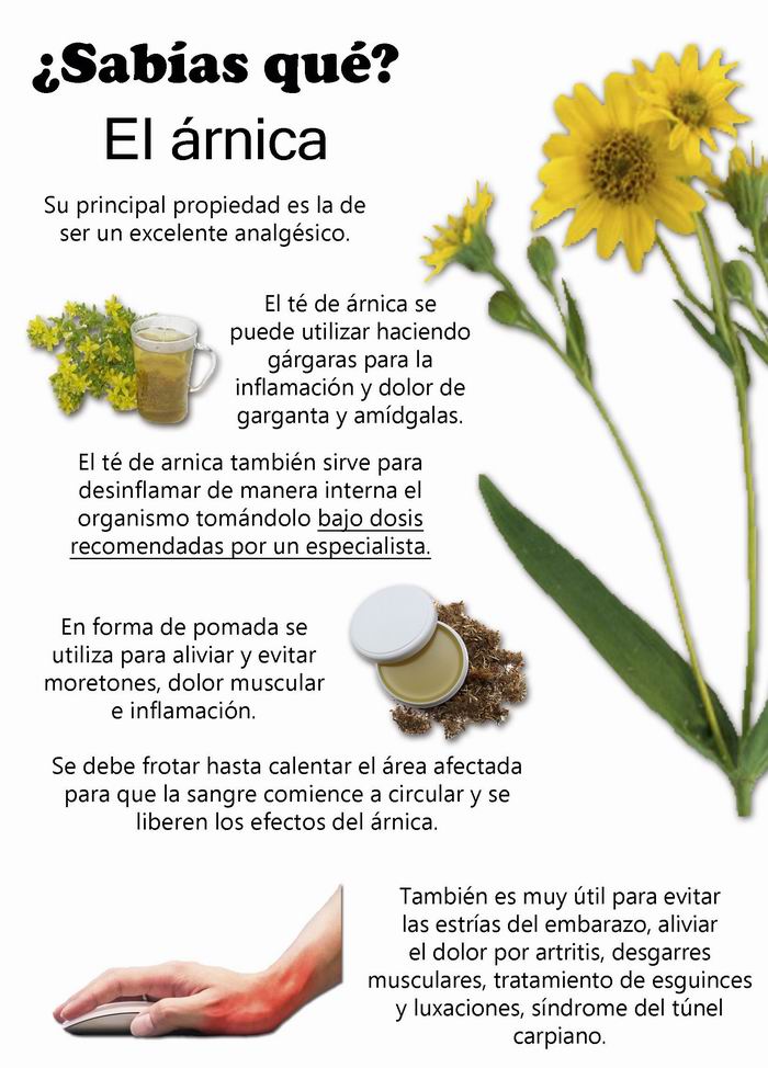Arnica Prodigiosa Para La Salud