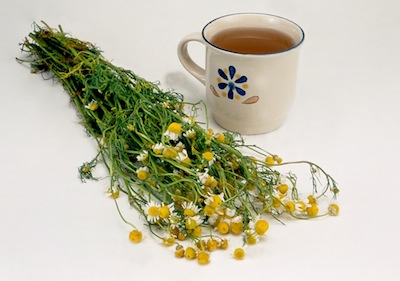 Infusi�n de romerillo