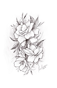 En el jazmín se unen belleza, fragancia y beneficios para la   salud 