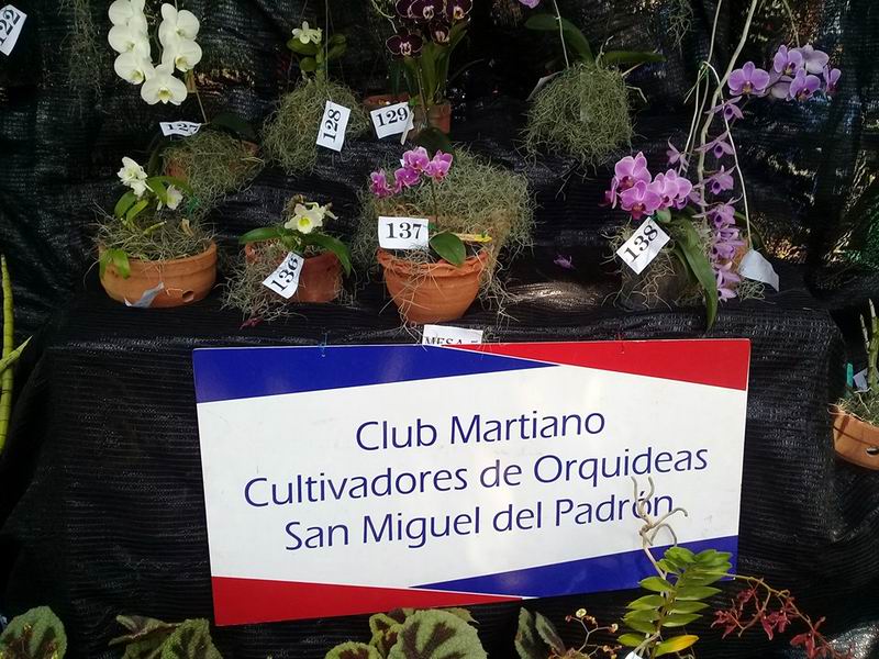 H�bridos para proteger nuestra flora