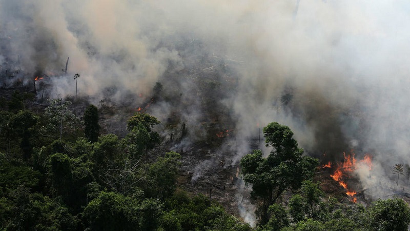 La Amazonia sigue sufriendo