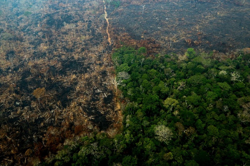 La Amazonia sigue sufriendo (+Infografía y Video)