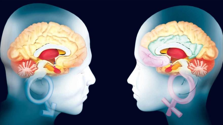 ¿Qué pasa en el cerebro de las personas enamoradas?