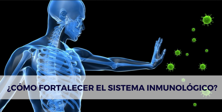 El sistema inmunológico y las múltiples formas de reforzarlo El sistema inmunológico y las múltiples formas de reforzarlo