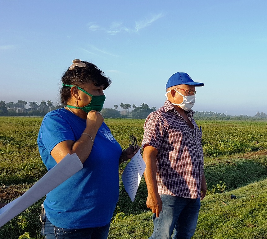 🎧 Desde el arte, y en el surco, celebran Día del Campesino en Camagüey