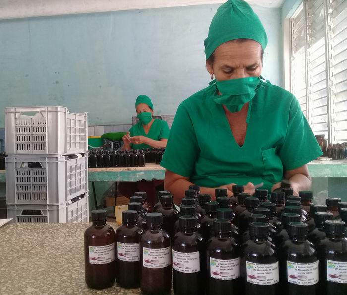 El colectivo de 17 trabajadores del laboratorio produce más de 30 renglones, entre ellos el hipoclorito y ahora el detergente clorado y el gel antibacterial.