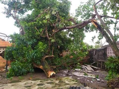 Tornado afecta viviendas y electricidad en San Cristóbal, Artemisa