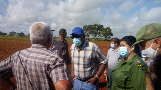 Chequea vicepresidente cubano producción de alimentos en Artemisa