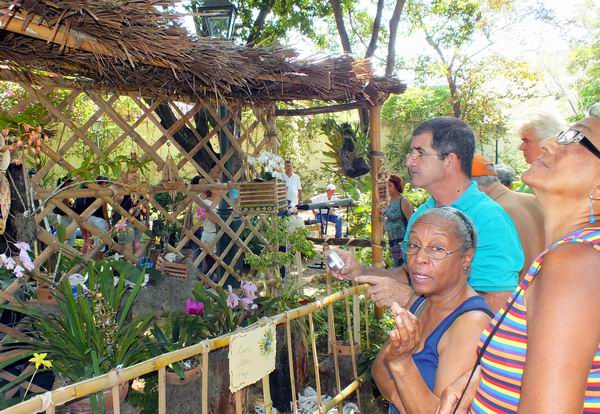 Comenz� Festival Nacional de Orqu�deas en La Habana. Foto: Abel Rojas.