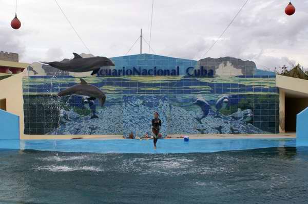 Acuario Nacional de Cuba. Foto Cubadebate