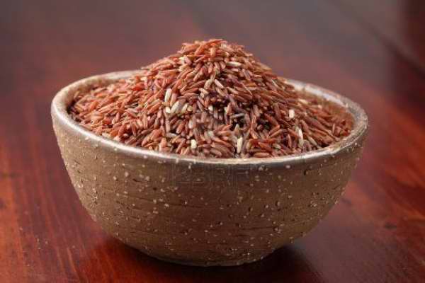 Desarrollan en Indonesia un sustituto del arroz 