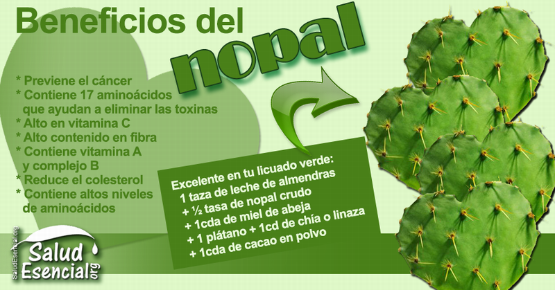 Nuevas de la guayaba y otras plantas medicinales (+ Fotos Nuevas de la guayaba y otras plantas medicinales (+ Fotos