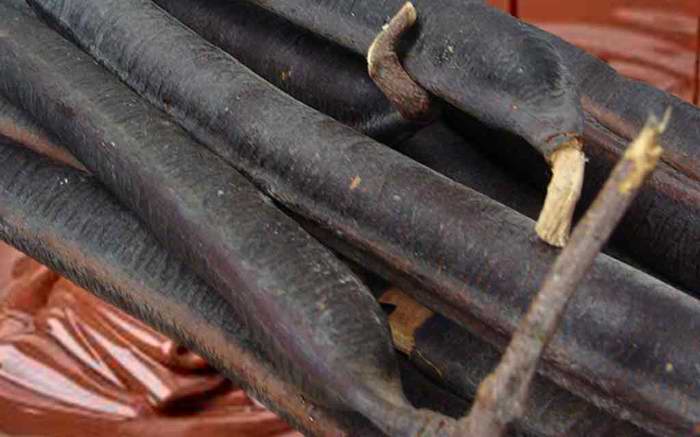 La Caña Fistula y sus propiedades La Caña Fistula y sus propiedades