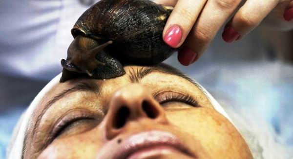 La baba de caracol ayuda a regenerar la piel humana 