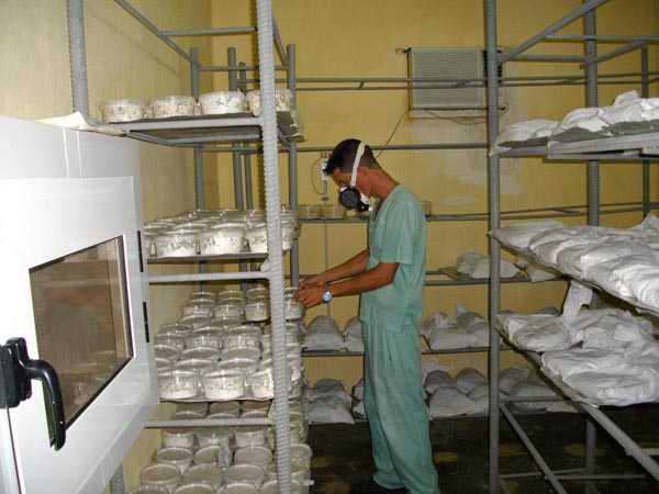 Ecological agriculture for food production