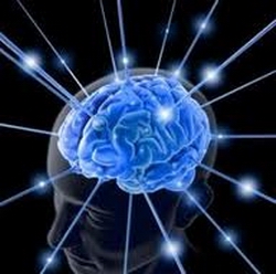 Consiguen implantar falsos recuerdos en el cerebro