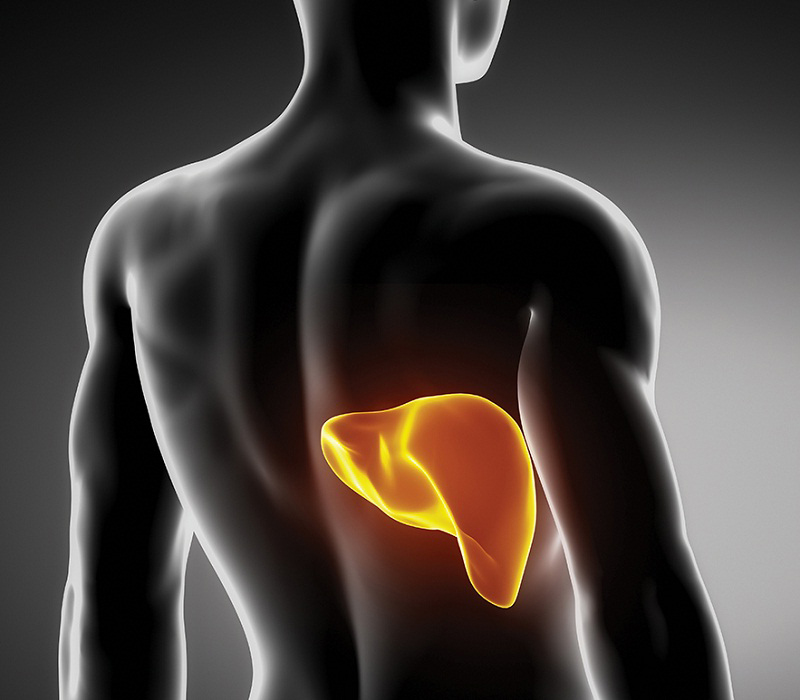 Algunos alimentos muy beneficiosos para un h�gado limpio