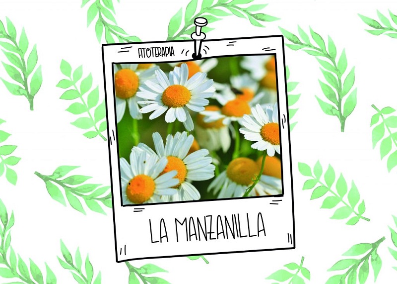 Remedios naturales para picaduras de mosquitos