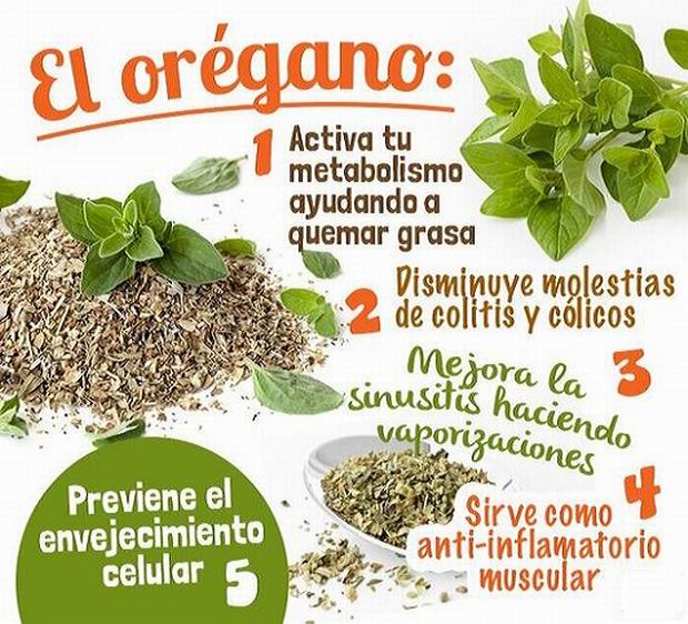 Prepare en casa aceite de orégano