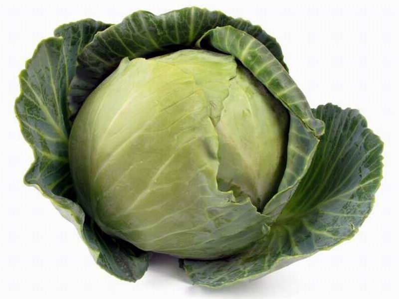 Repollo O Col Propiedades Y Recetas Saludables Alimen - vrogue.co