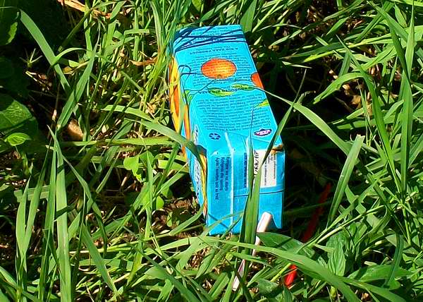 Desecho s�lido contaminando el medio ambiente