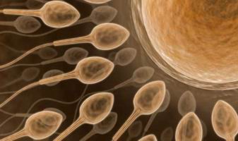 Nuevo anticonceptivo masculino a base de un gen 