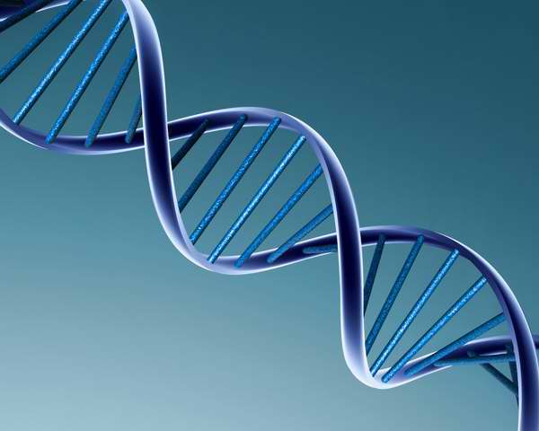 Hallan segundo código genético en el ADN