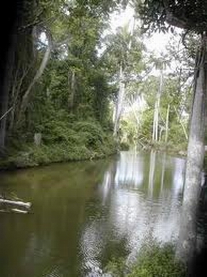 Preservar las áreas protegidas, estrategia de sostenibilidad ambiental en Camagüey