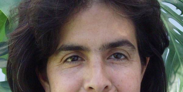 Dec�logo del rostro sobre la salud.