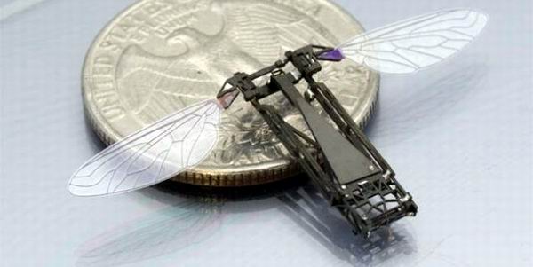 Construyen mosca robótica de fibra de carbono 
