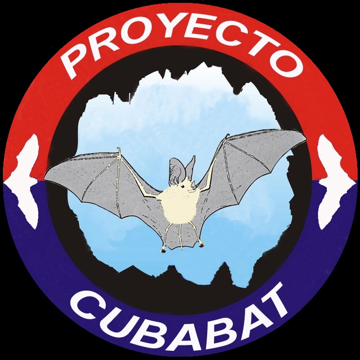 Un festival para el murciélago en Matanzas: arte y ciencia 