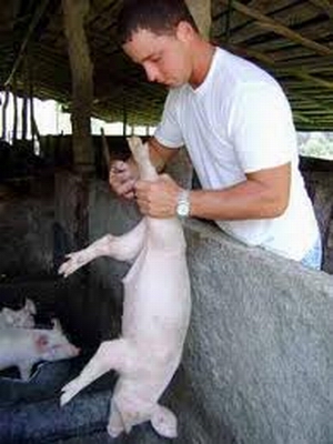 Veterinarios en Cuba Veterinarios en Cuba