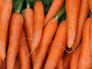 Zanahorias Zanahorias