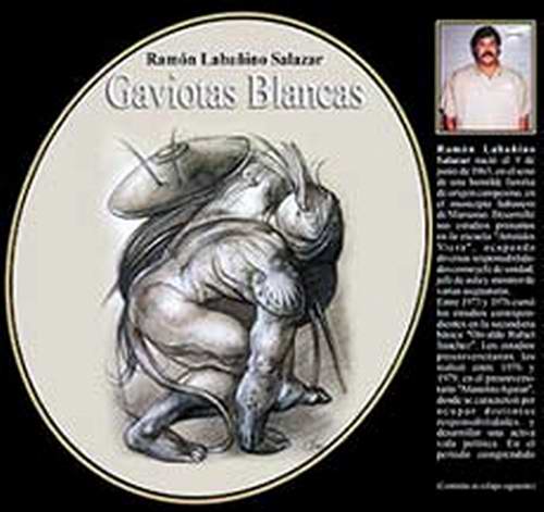 Gaviotas blancas, poemario de Ramón Labañino. Foto Radio Reloj