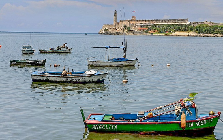 Castillo del Morro: un vigilante a la entrada de la Bah�a 