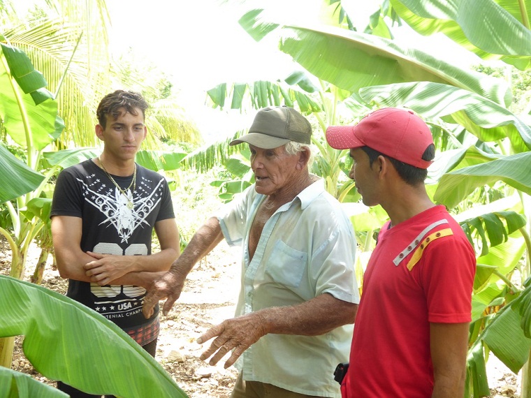 Y a la finca, Nine le puso Mar�a