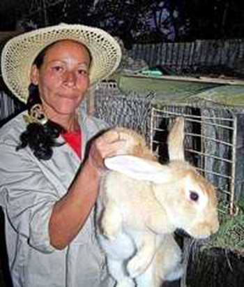 Cooperativista y campesina dedicada a la cr�a de conejos. Foto Mireya Ojeda