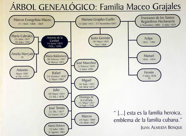 �rbol geneal�gico familia Maceo Grajales