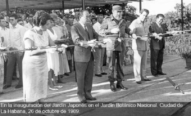 Variados festejos por el aniversario 50 del Jard�n Bot�nico Nacional