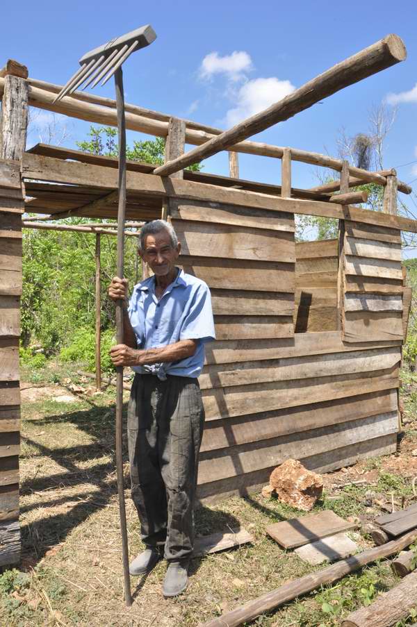 Para producir tres toneladas de carb�n vegetal y estar entre los carboneros destacados de Cuba Antonio Cuman� Cu�llar desaf�a la humedad, el mosquito y cuanta adversidad le imponen los montes de Nueva Paz. Foto Elvis Gil
