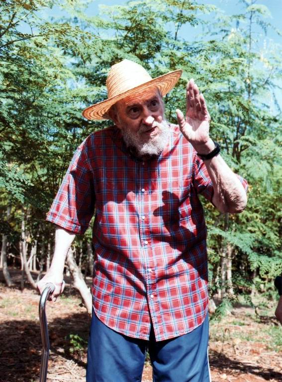 foto-alex-castro.jpg (567&times;767)