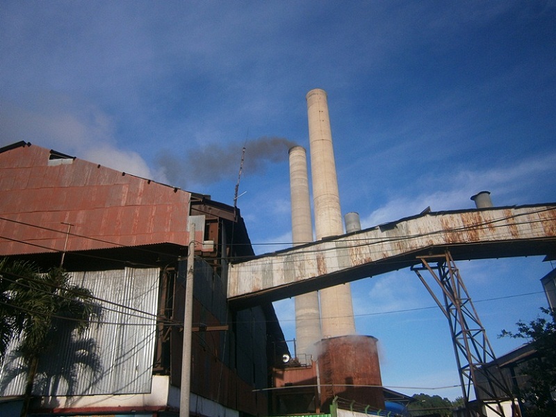 Azucareros  de Cienfuegos en Jornada Productiva por el Primero de Mayo. Foto: Mireya Ojeda Cabrera
