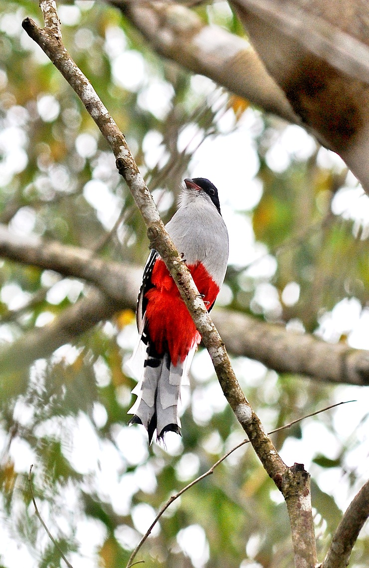 Las Terrazas y su belleza singular