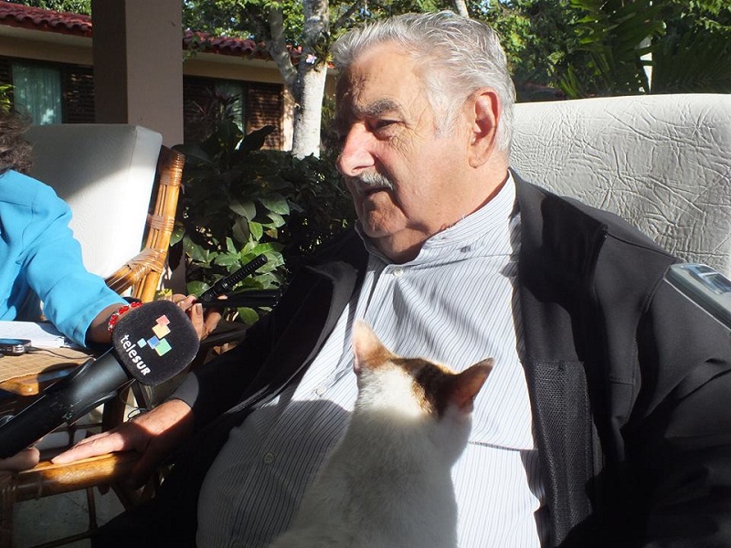 Pepe Mujica en entrevista a periodistas de varias agencias. Foto: Salomé Campanioni