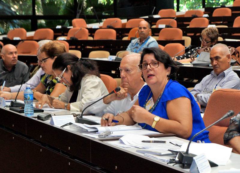 Sobre la venta de materiales en la red de tiendas de Comercio Interior, la viceministra primera del sector, Odalys Escandell, precis� que los aseguramientos se han cumplido todos los a�os. Foto: Sergei Montalvo