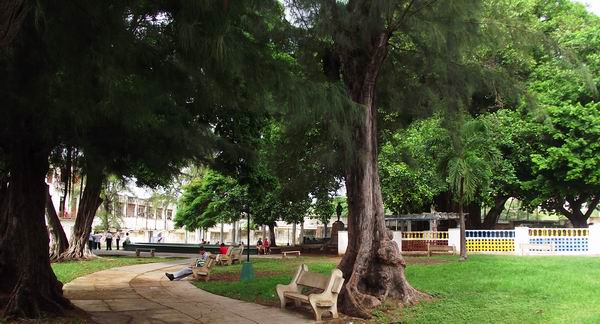 Parque Carlos Aguirre ubicado en el municipio Plaza de la Revolución, La Habana, Cuba. Foto: Abel Rojas.