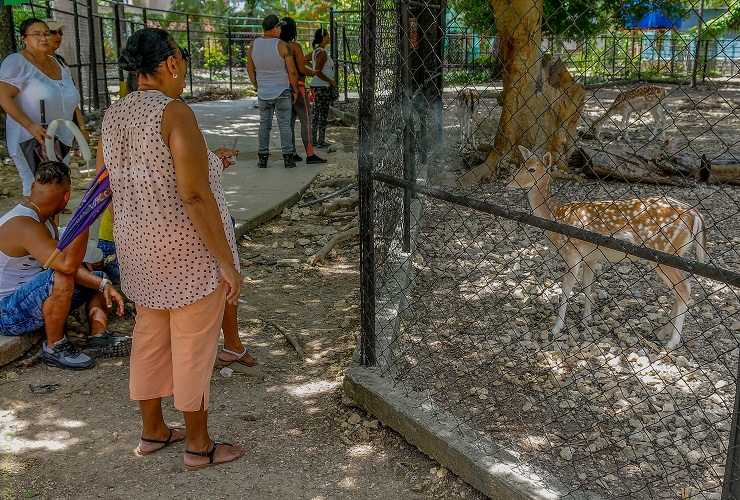 Zoológico de 26, el más antiguo de Cuba
