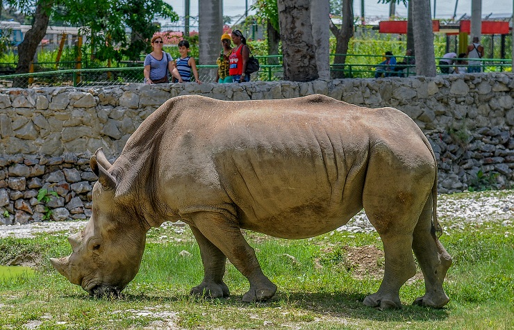 Zoológico de 26, el más antiguo de Cuba