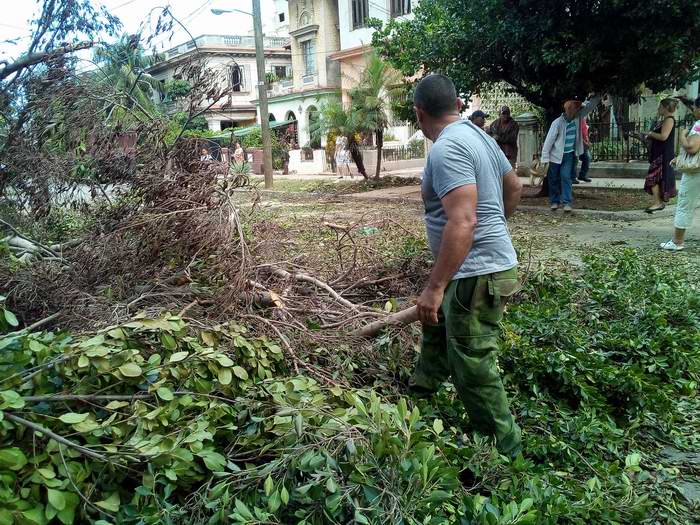 Brigadas Forestales de Mayabeque y Pinar del Río apoyan recuperación en La Habana. Fotos: Carlos Serpa Brigadas Forestales de Mayabeque y Pinar del Río apoyan recuperación en La Habana. Fotos: Carlos Serpa