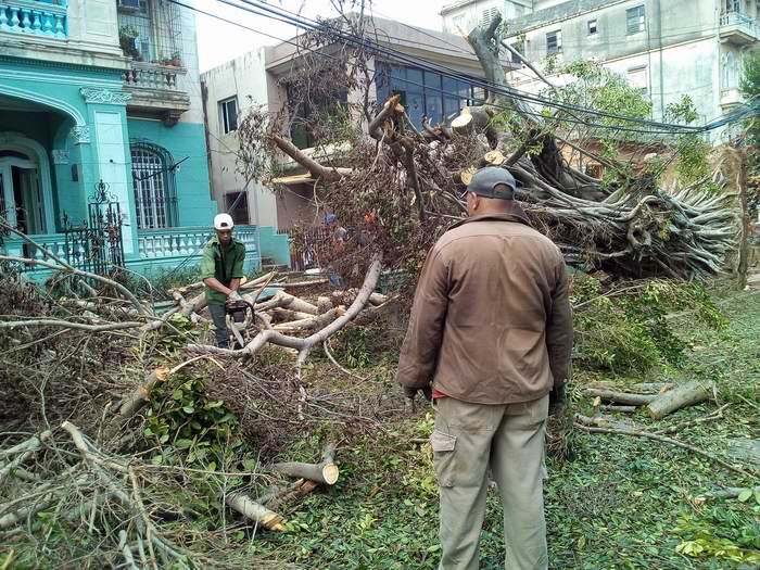 Brigadas Forestales de Mayabeque y Pinar del Río apoyan recuperación en La Habana. Fotos: Carlos Serpa Brigadas Forestales de Mayabeque y Pinar del Río apoyan recuperación en La Habana. Fotos: Carlos Serpa